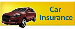 Car Insurance Solutions